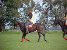 Juan Genta